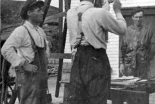 016: Culling cod, l-r Joseph Cheeseman, J V McCarthy (back to camera), and Thomas McCarthy. (circa 1920) [courtesy of Mollie McCarthy]- Thomas son of Denis McCarthy &amp;amp; Sarah Withers.